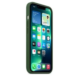 Силиконовый чехол Apple MagSafe для iPhone 13 Pro Green Clover, Midnight Green — фото 3