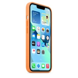 Силиконовый чехол Apple MagSafe для iPhone 13 Весенняя мимоза, Orange — фото 2