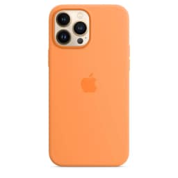 Силиконовый чехол Apple MagSafe для iPhone 13 Pro Max Весенняя мимоза, Orange — фото 1