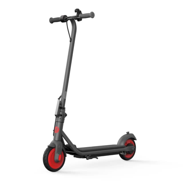 Электросамокат Ninebot KickScooter C20, Gray