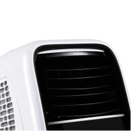 Мобильный кондиционер Ballu Smart Design BPAC-09 CD White Black, Black-White — фото 3