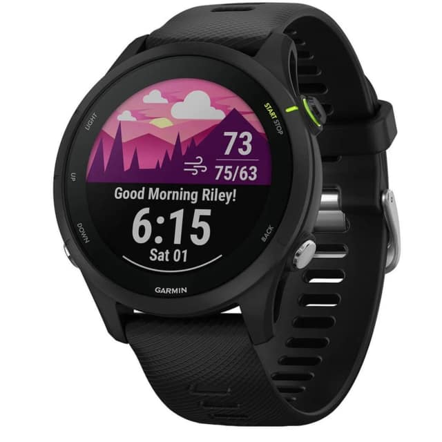 Умные часы Garmin Forerunner 255 Music, Black
