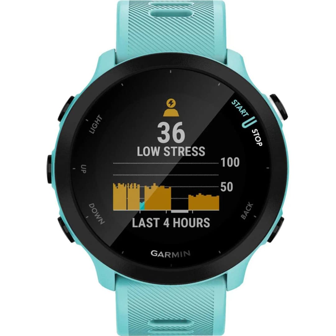 Умные часы Garmin Forerunner 55 Aqua, Голубой — фото 2
