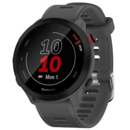 Умные часы Garmin Forerunner 55 Monterra Grey, Серый — фото 1