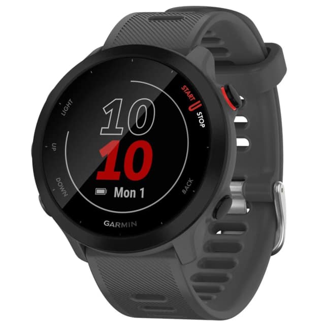 Умные часы Garmin Forerunner 55 Monterra Grey, Серый