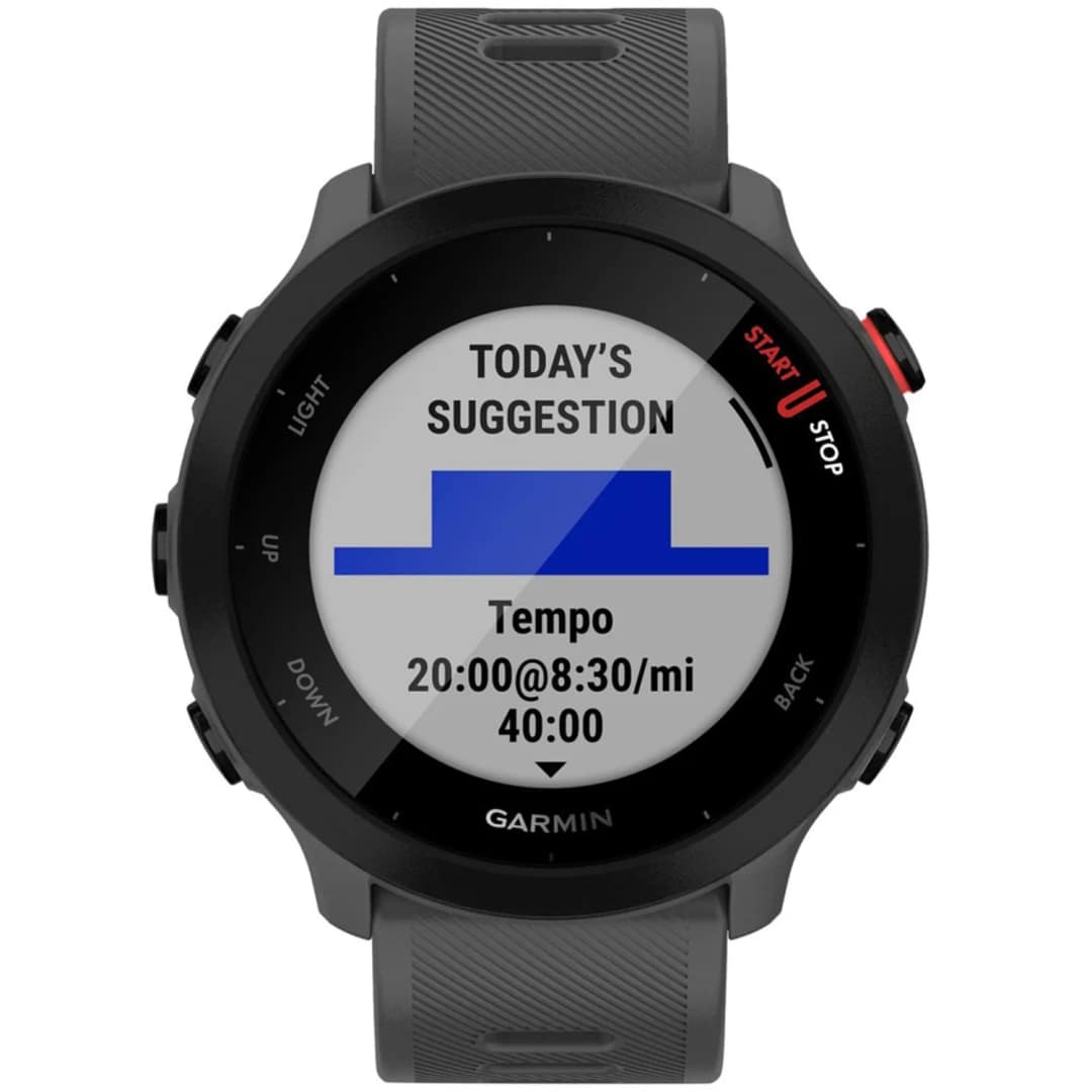 Умные часы Garmin Forerunner 55 Monterra Grey, Серый — фото 4