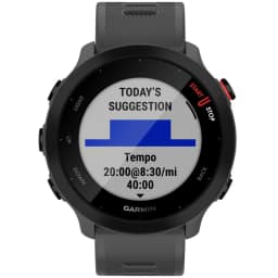 Умные часы Garmin Forerunner 55 Monterra Grey, Серый — фото 4