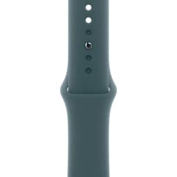 Ремешок Apple Watch 42mm Sport Band M L, Lake Green — фото 1