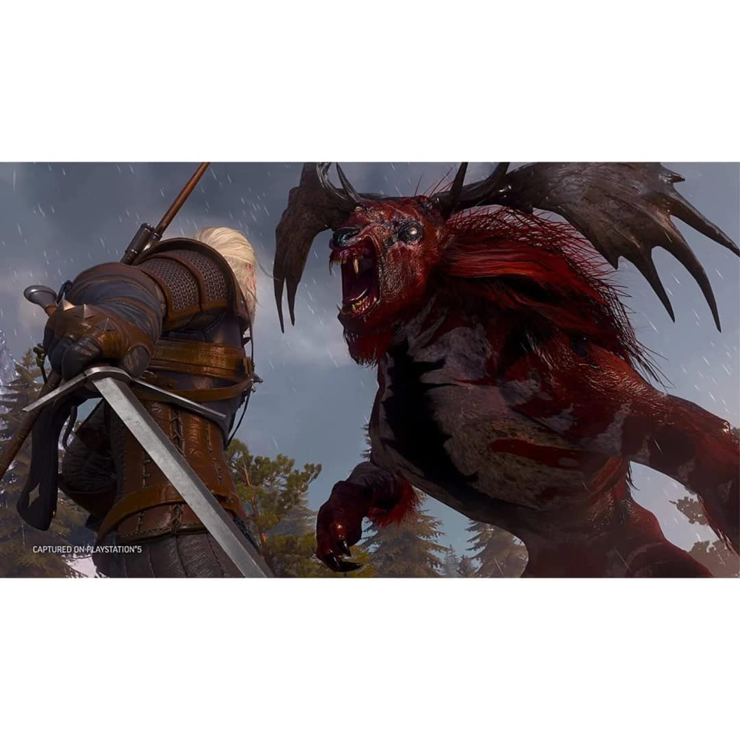 Игра Sony Witcher 3 Wild Hunt Complete Edition — фото 6