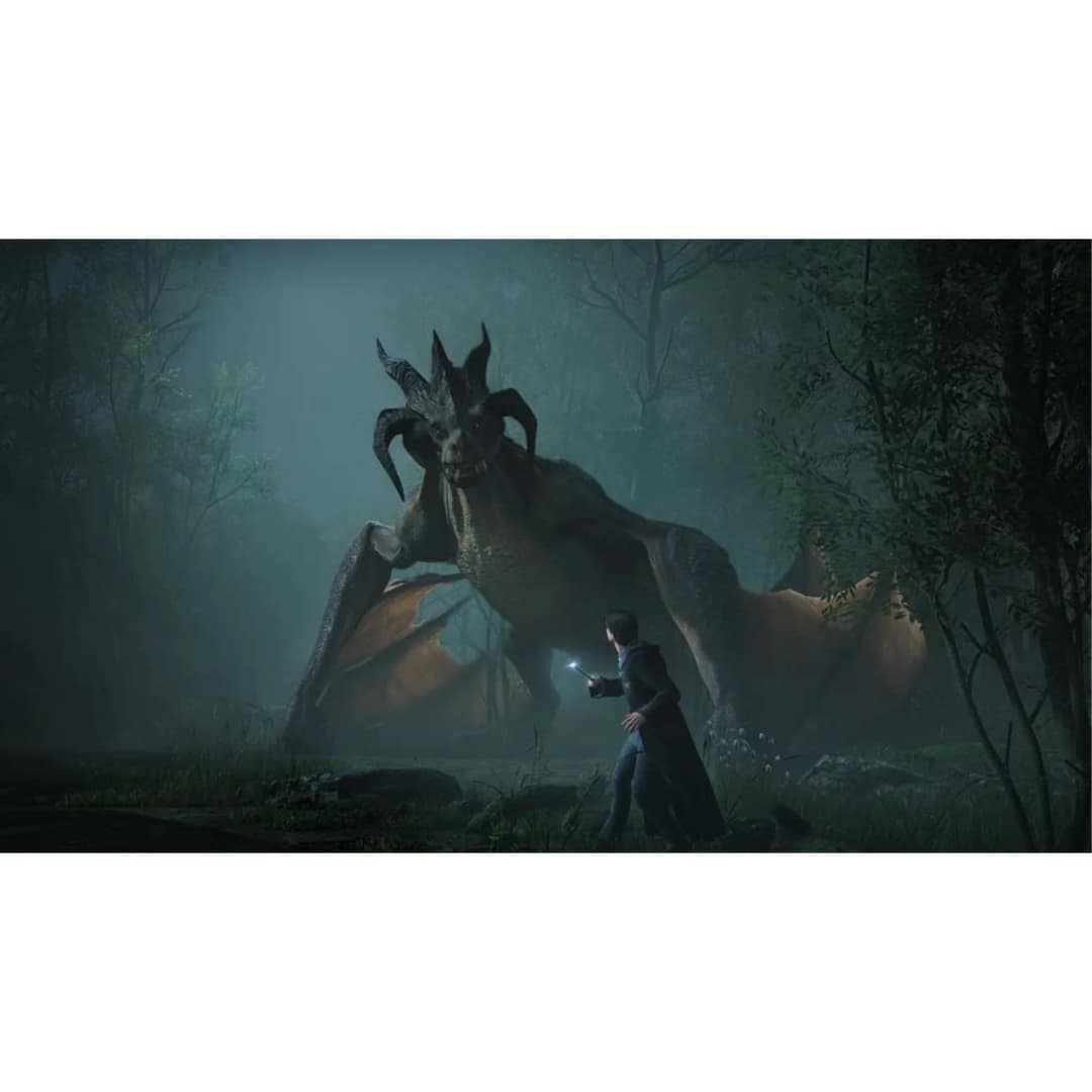 Игра Sony Hogwarts Legacy — фото 2