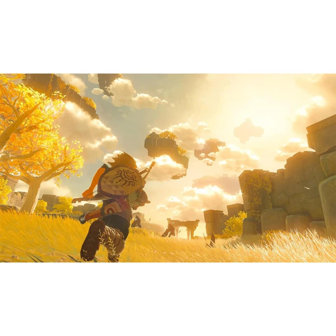 Игра Nintendo The Legend of Zelda: Tears of the Kingdom — фото 2