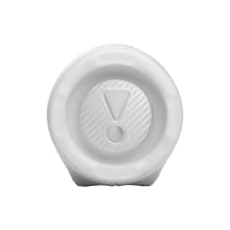 Портативная колонка JBL Charge 6, White — фото 3