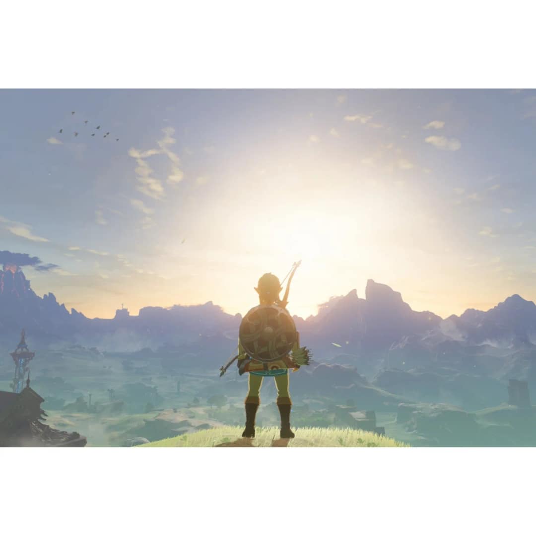 Игра Nintendo The Legend of Zelda: Breath of the Wild — фото 3