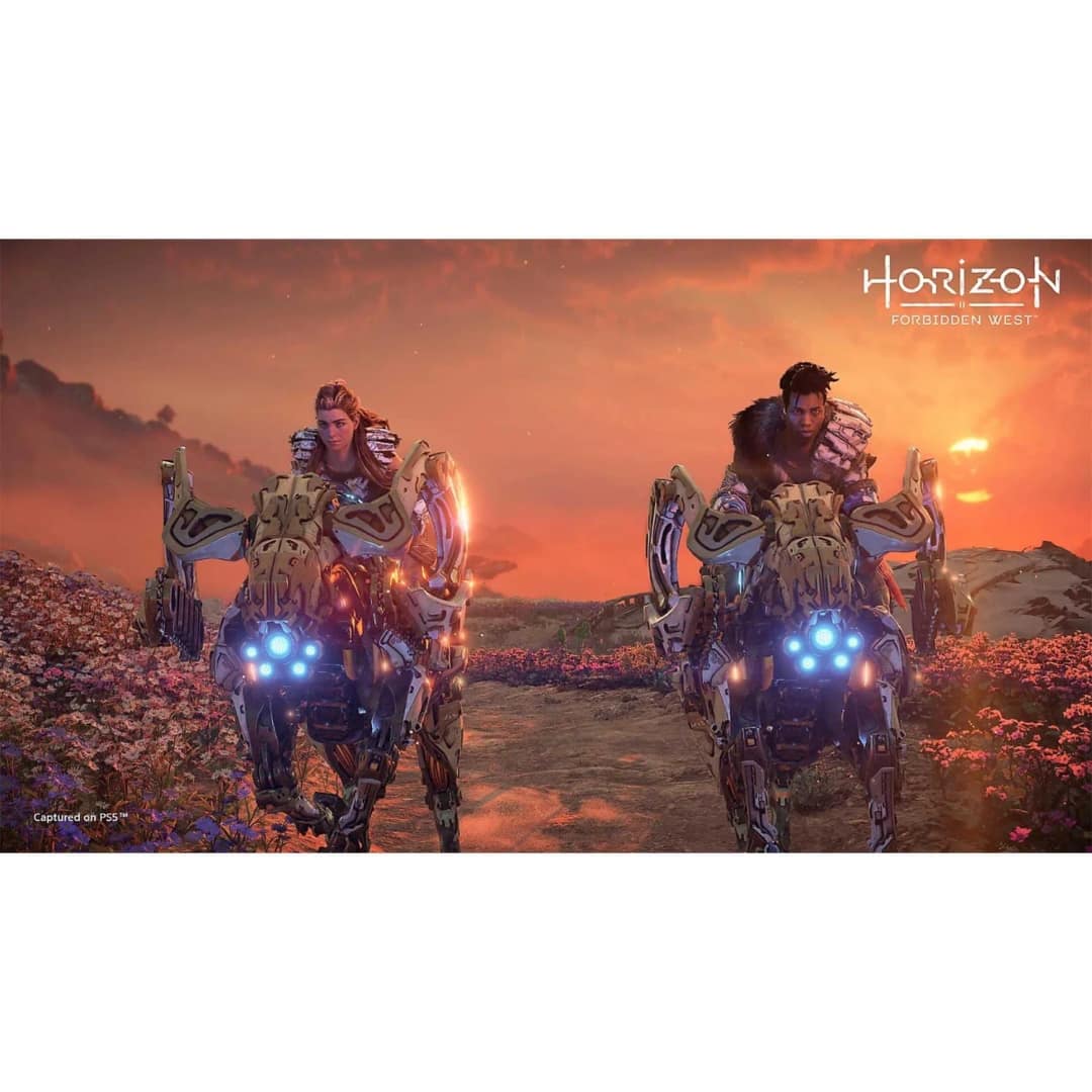 Игра Sony Horizon Запретный Запад — фото 5