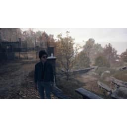 Игра Sony The Dark Pictures: The Devil in Me — фото 2