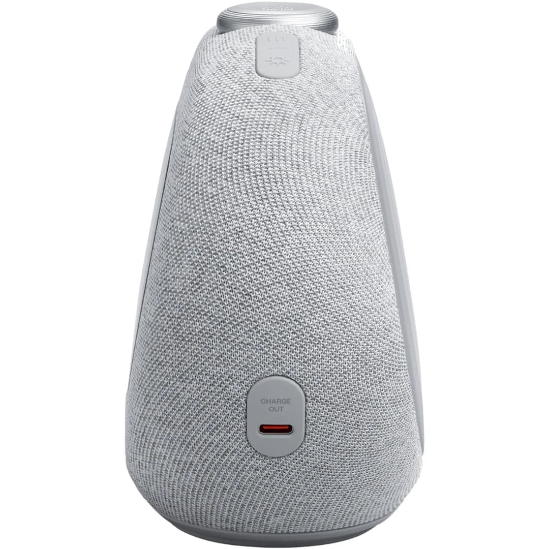 Беспроводная колонка JBL Horizon 3, Gray — фото 4