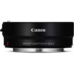 Фотоаппарат Canon EOS R6 Mark III Body Canon Mount Adapter EF-EOS R Black — фото 5